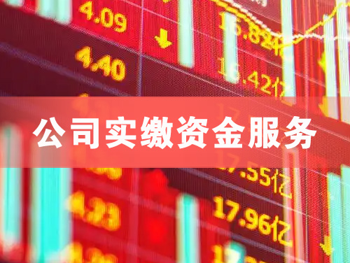 云梦公司实缴资金服务